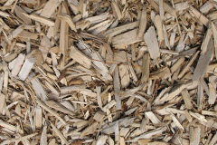 biomass boilers Westoe